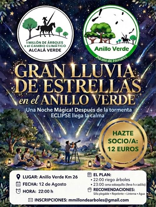 Noche Mágica de Estrellas y Árboles en el Anillo Verde